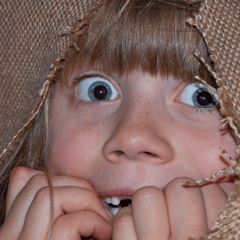 Imatge cedida per Canva editor